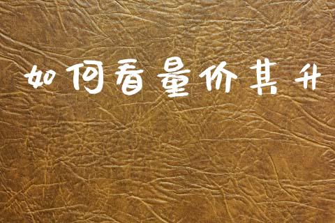 如何看量价其升_https://wap.lcjysmgs.com_债券基金_第1张