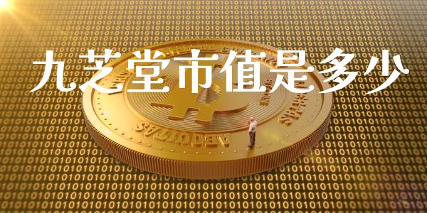 九芝堂市值是多少_https://wap.lcjysmgs.com_原油期货_第1张