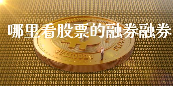 哪里看股票的融券融券_https://wap.lcjysmgs.com_元宇宙_第1张