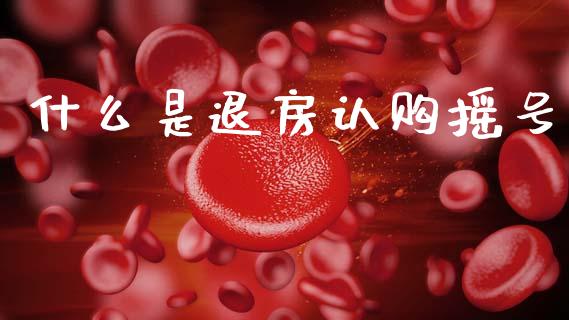 什么是退房认购摇号_https://wap.lcjysmgs.com_债券基金_第1张