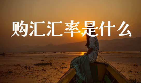 购汇汇率是什么_https://wap.lcjysmgs.com_元宇宙_第1张