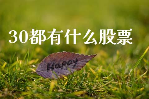 30都有什么股票_https://wap.lcjysmgs.com_原油期货_第1张