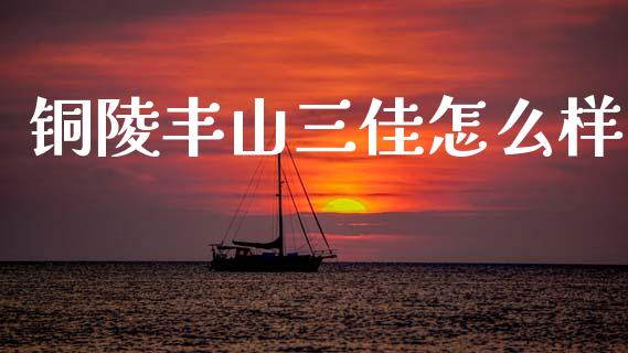 铜陵丰山三佳怎么样_https://wap.lcjysmgs.com_原油期货_第1张
