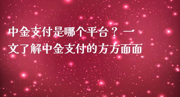 中金支付是哪个平台？ 一文了解中金支付的方方面面_https://wap.lcjysmgs.com_金融交易_第1张