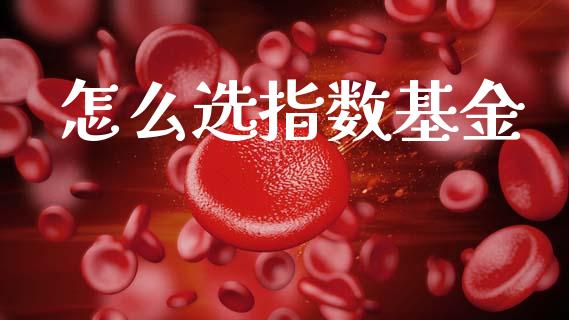 怎么选指数基金_https://wap.lcjysmgs.com_原油期货_第1张