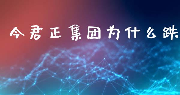 今君正集团为什么跌_https://wap.lcjysmgs.com_金融交易_第1张