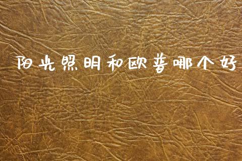 阳光照明和欧普哪个好_https://wap.lcjysmgs.com_债券基金_第1张