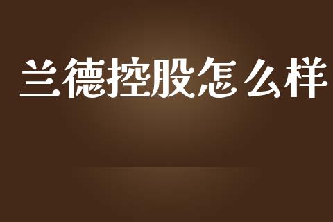 兰德控股怎么样_https://wap.lcjysmgs.com_元宇宙_第1张