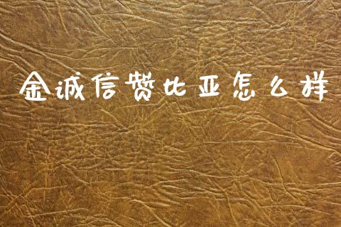 金诚信赞比亚怎么样_https://wap.lcjysmgs.com_原油期货_第1张