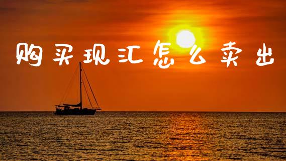 购买现汇怎么卖出_https://wap.lcjysmgs.com_债券基金_第1张