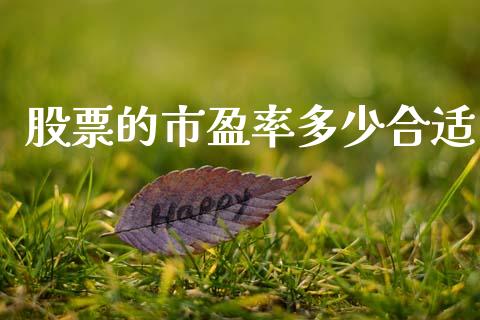 股票的市盈率多少合适_https://wap.lcjysmgs.com_债券基金_第1张
