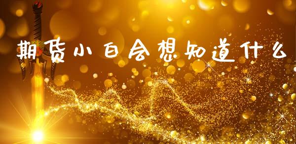 期货小白会想知道什么_https://wap.lcjysmgs.com_元宇宙_第1张