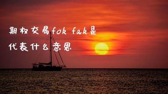 期权交易fok fak是代表什么意思_https://wap.lcjysmgs.com_金融交易_第1张