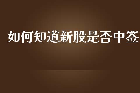 如何知道新股是否中签_https://wap.lcjysmgs.com_原油期货_第1张