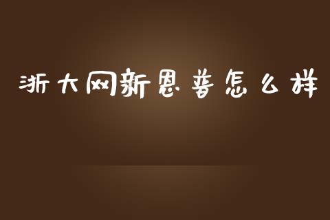 浙大网新恩普怎么样_https://wap.lcjysmgs.com_债券基金_第1张