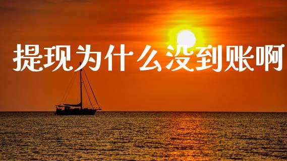 提现为什么没到账啊_https://wap.lcjysmgs.com_原油期货_第1张