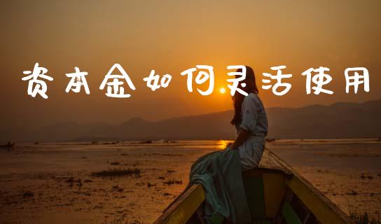 资本金如何灵活使用_https://wap.lcjysmgs.com_债券基金_第1张