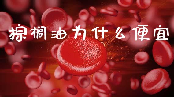 棕榈油为什么便宜_https://wap.lcjysmgs.com_金融交易_第1张