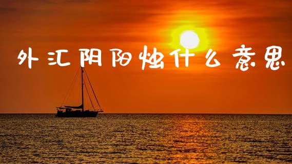 外汇阴阳烛什么意思_https://wap.lcjysmgs.com_债券基金_第1张