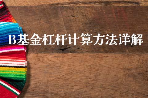 B基金杠杆计算方法详解_https://wap.lcjysmgs.com_金融交易_第1张