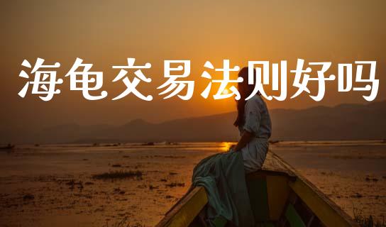 海龟交易法则好吗_https://wap.lcjysmgs.com_元宇宙_第1张