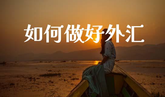 如何做好外汇_https://wap.lcjysmgs.com_债券基金_第1张