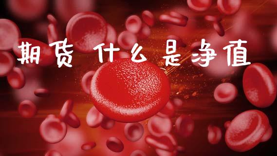 期货 什么是净值_https://wap.lcjysmgs.com_原油期货_第1张