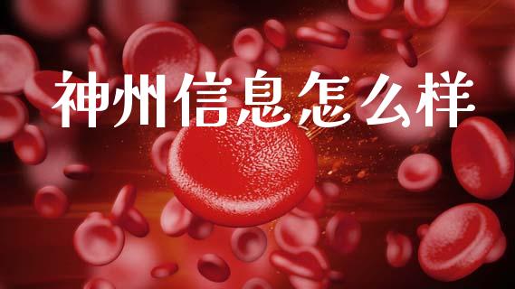 神州信息怎么样_https://wap.lcjysmgs.com_元宇宙_第1张