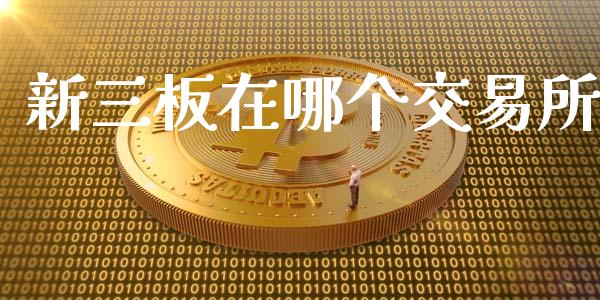 新三板在哪个交易所_https://wap.lcjysmgs.com_金融交易_第1张