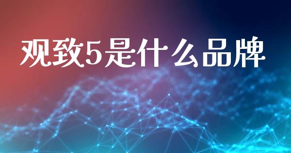 观致5是什么品牌_https://wap.lcjysmgs.com_债券基金_第1张