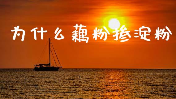 为什么藕粉掺淀粉_https://wap.lcjysmgs.com_债券基金_第1张