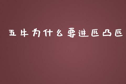 五牛为什么要进匹凸匹_https://wap.lcjysmgs.com_金融交易_第1张