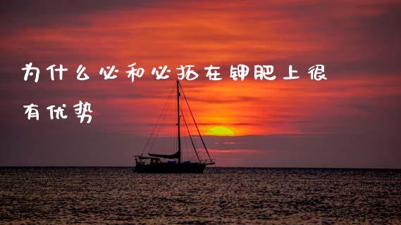 为什么必和必拓在钾肥上很有优势_https://wap.lcjysmgs.com_原油期货_第1张