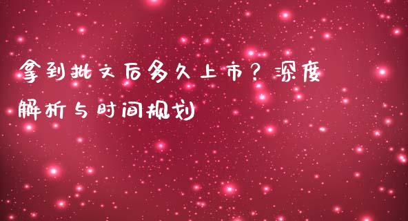 拿到批文后多久上市？深度解析与时间规划_https://wap.lcjysmgs.com_原油期货_第1张