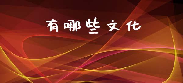 有哪些文化_https://wap.lcjysmgs.com_元宇宙_第1张