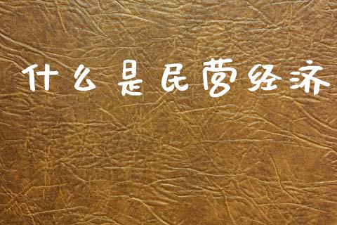 什么是民营经济_https://wap.lcjysmgs.com_债券基金_第1张