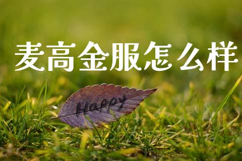 麦高金服怎么样_https://wap.lcjysmgs.com_债券基金_第1张