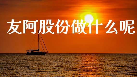 友阿股份做什么呢_https://wap.lcjysmgs.com_金融交易_第1张