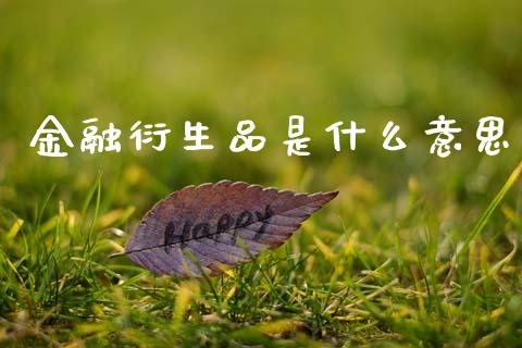 金融衍生品是什么意思_https://wap.lcjysmgs.com_原油期货_第1张