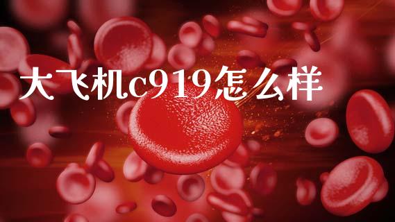 大飞机c919怎么样_https://wap.lcjysmgs.com_债券基金_第1张