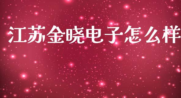 江苏金晓电子怎么样_https://wap.lcjysmgs.com_元宇宙_第1张