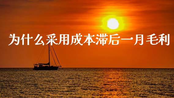 为什么采用成本滞后一月毛利_https://wap.lcjysmgs.com_债券基金_第1张
