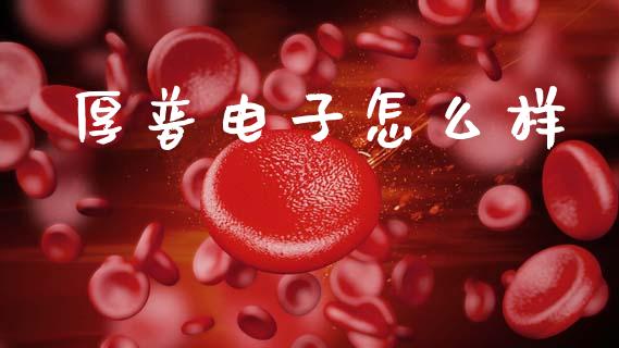 厚普电子怎么样_https://wap.lcjysmgs.com_元宇宙_第1张