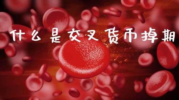 什么是交叉货币掉期_https://wap.lcjysmgs.com_金融交易_第1张