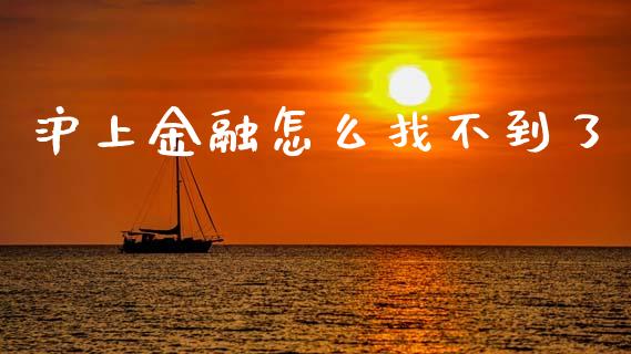 沪上金融怎么找不到了_https://wap.lcjysmgs.com_债券基金_第1张