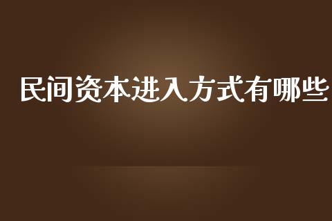 民间资本进入方式有哪些_https://wap.lcjysmgs.com_债券基金_第1张