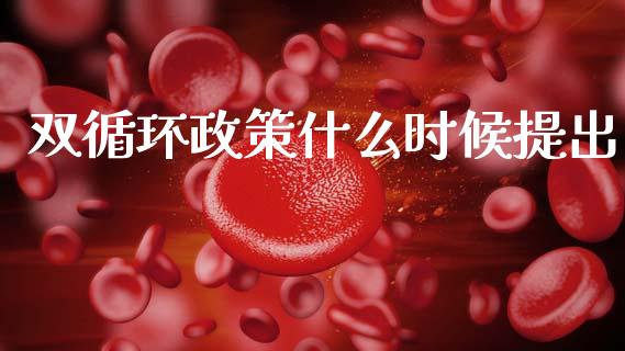 双循环政策什么时候提出_https://wap.lcjysmgs.com_金融交易_第1张