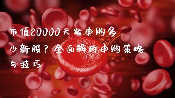 市值20000元能申购多少新股？全面解析申购策略与技巧_https://wap.lcjysmgs.com_债券基金_第1张