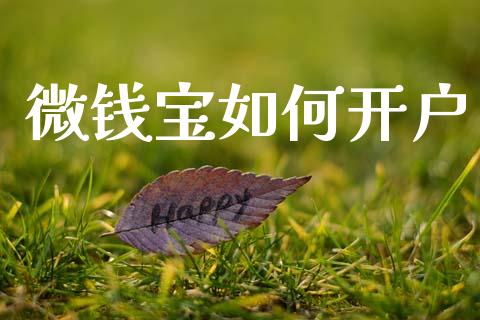 微钱宝如何开户_https://wap.lcjysmgs.com_金融交易_第1张