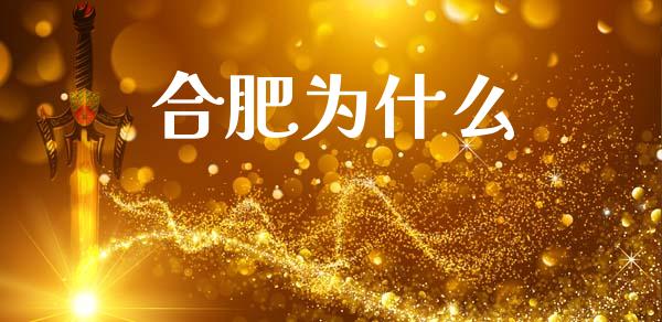 合肥为什么_https://wap.lcjysmgs.com_债券基金_第1张
